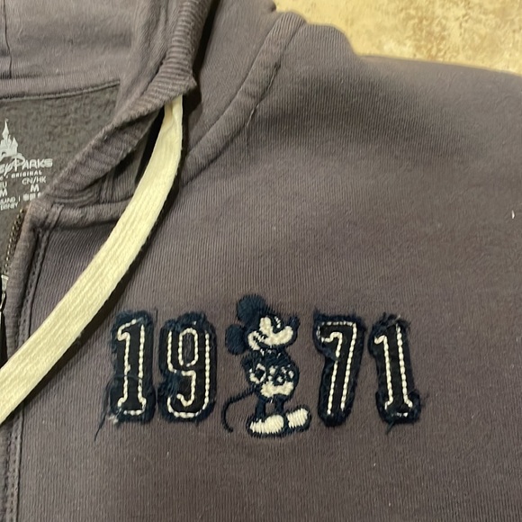 Authentic Disney Parks Adult Grey Full-Zip Jacket - Picture 3 of 5